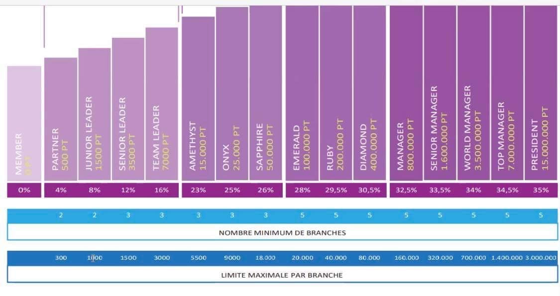 plan de rémuneration chogan