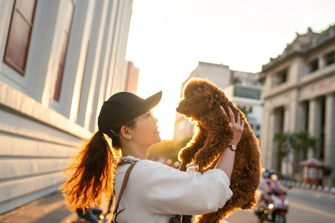 Pourquoi aucun de vos produits beauté ne convient à votre chien